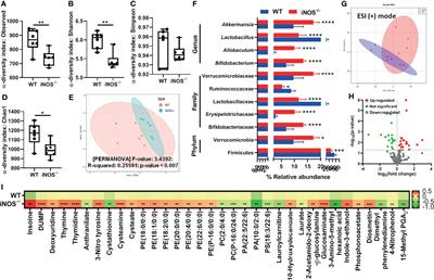 Vancomycin-Induced Modulation of Gram-Positive Gut Bacteria and Metabolites Remediates Insulin Resistance in iNOS Knockout Mice